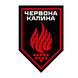 Шеврон 14-ї бригади оперативного призначення імені Івана Богуна &laquo;Червона Калина&raquo; НГУ на липучці ШБ0099 фото 1