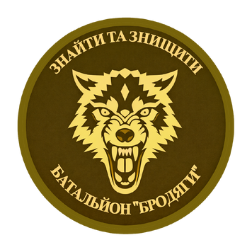 Шеврон 431-го окремого батальйону безпілотних систем &laquo;Бродяги&raquo; на липучці ШБ0159 фото